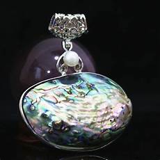 Abalone Shell