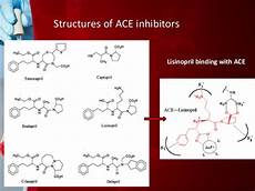 Ace Inhibitor