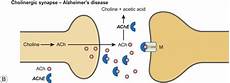 Acetylcholinesterase Inhibitors