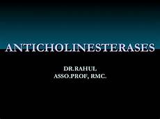 Acetylcholinesterase Inhibitors