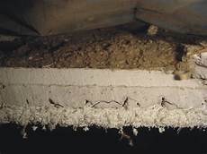 Acoustic Ceiling Board