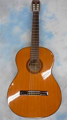 Acoustic Guitar