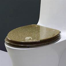 Acrylic Toilet Seats
