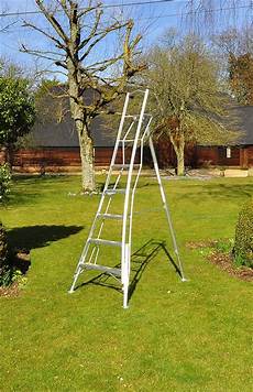 Adjustable Ladder
