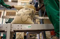 African Coffees