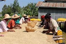 African Coffees