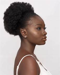 Afro Puff Wig