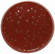 Agar Distributors