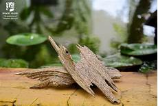 Agarwood Incense