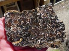 Agate Beads