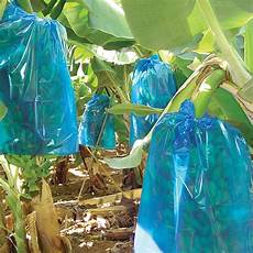 Agricultural Film