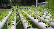 Agricultural Film