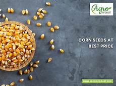 Agricultural Plastic Products