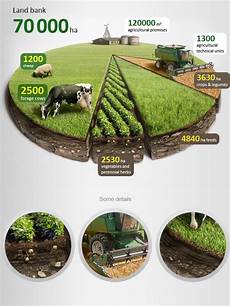 Agricultural Tire