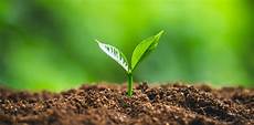Agriculture Canada