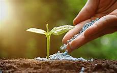 Agriculture Fertilizer