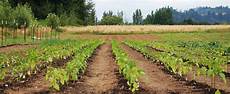 Agriculture Fertilizer