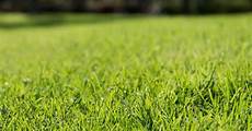 Agriculture Fertilizer