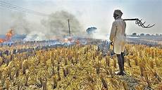 Agriculture Film Waste