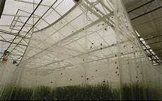 Agriculture Netting