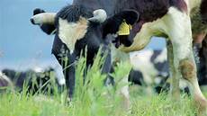 Agriculture Product