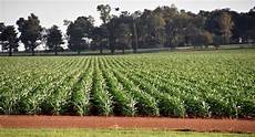 Agriculture Products Processing