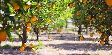 Agriculture Products