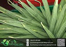 AgricultureProducts
