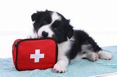 Aid Kits