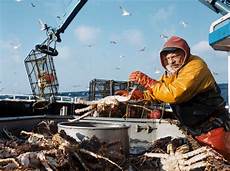 Alaskan King Crab