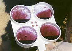 Alcohol Tester