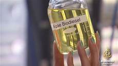 Algae Biodiesel