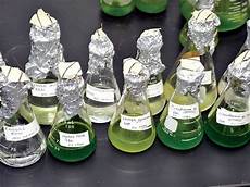 Algae Biodiesel