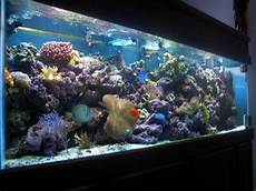 All Glass Aquariums