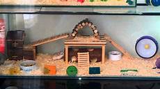 All Glass Aquariums