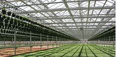 Allied Pipe