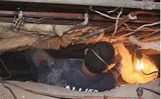 Allied Plywood