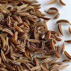 Allium Sativum