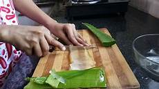 Aloe Plant Extract