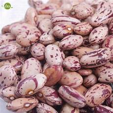 Alubia Beans Container