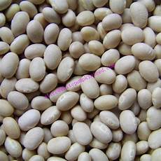 Alubia Beans Container