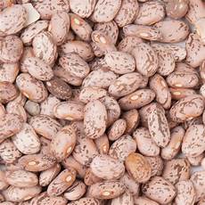 Alubia Beans