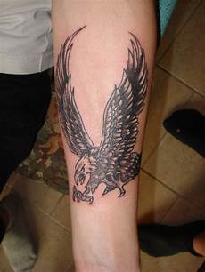 American Bald Eagle
