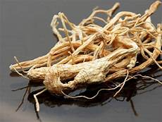 American Ginseng Extract