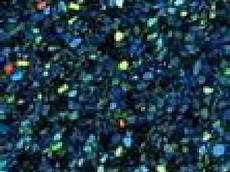 Amorphous Silicon Powder