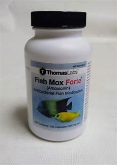 Amoxicillin Capsule