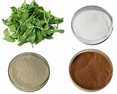 Andrographolide Extract