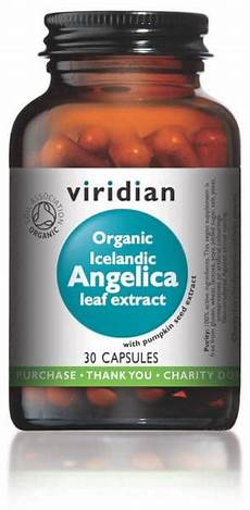 Angelica Extract