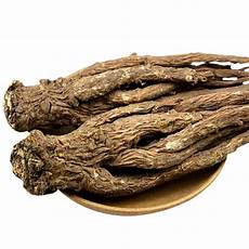 Angelica Root Extract