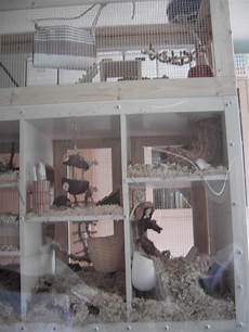 Animal Cages